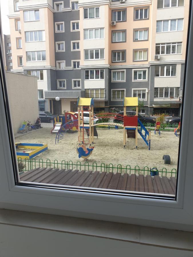 Apartment Premium 2